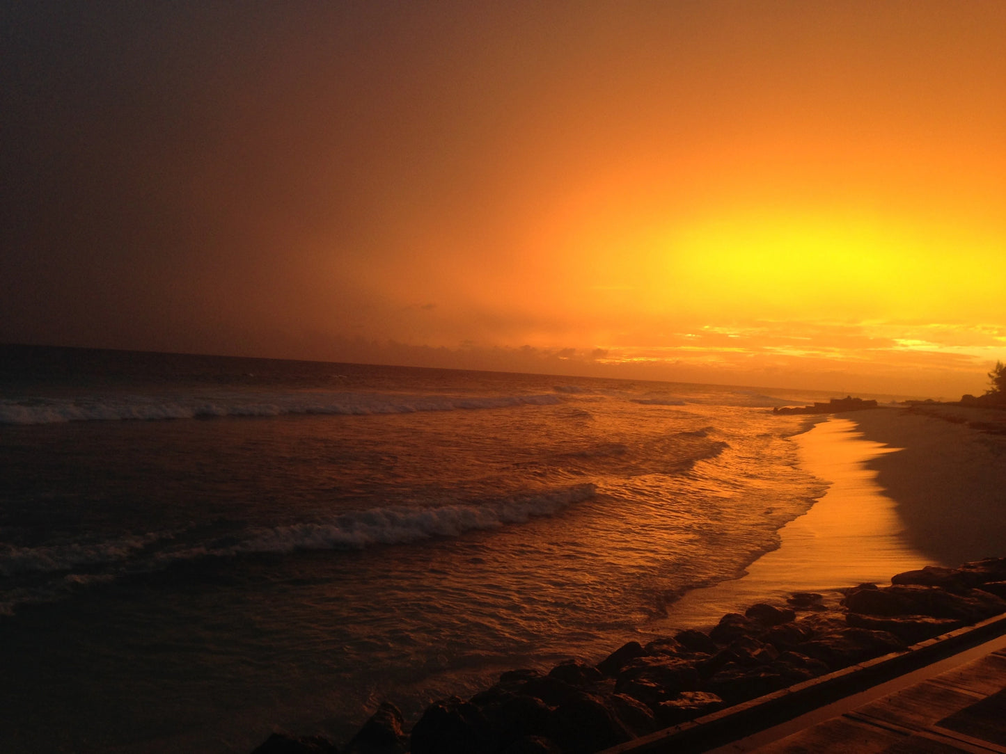 2026年1月24日 Hastings徒步