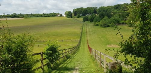 （报名中）202511月1日 Marlow徒步